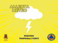 ALLERTA METEO - Venerdì 31 Gennaio